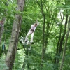 Tarzan-Style in 15 Metern Höhe